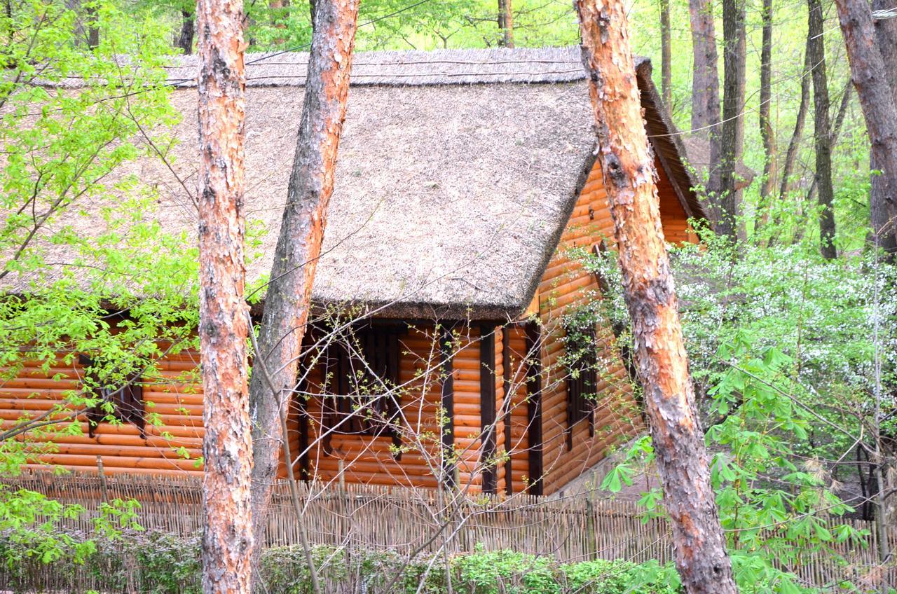Chumatskiy Shlyah Romankiv Luaran gambar